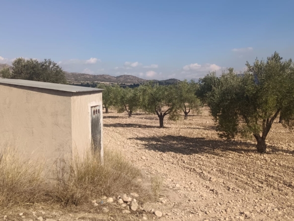 O 1j80vqdo11e931plh167k84c21n1s