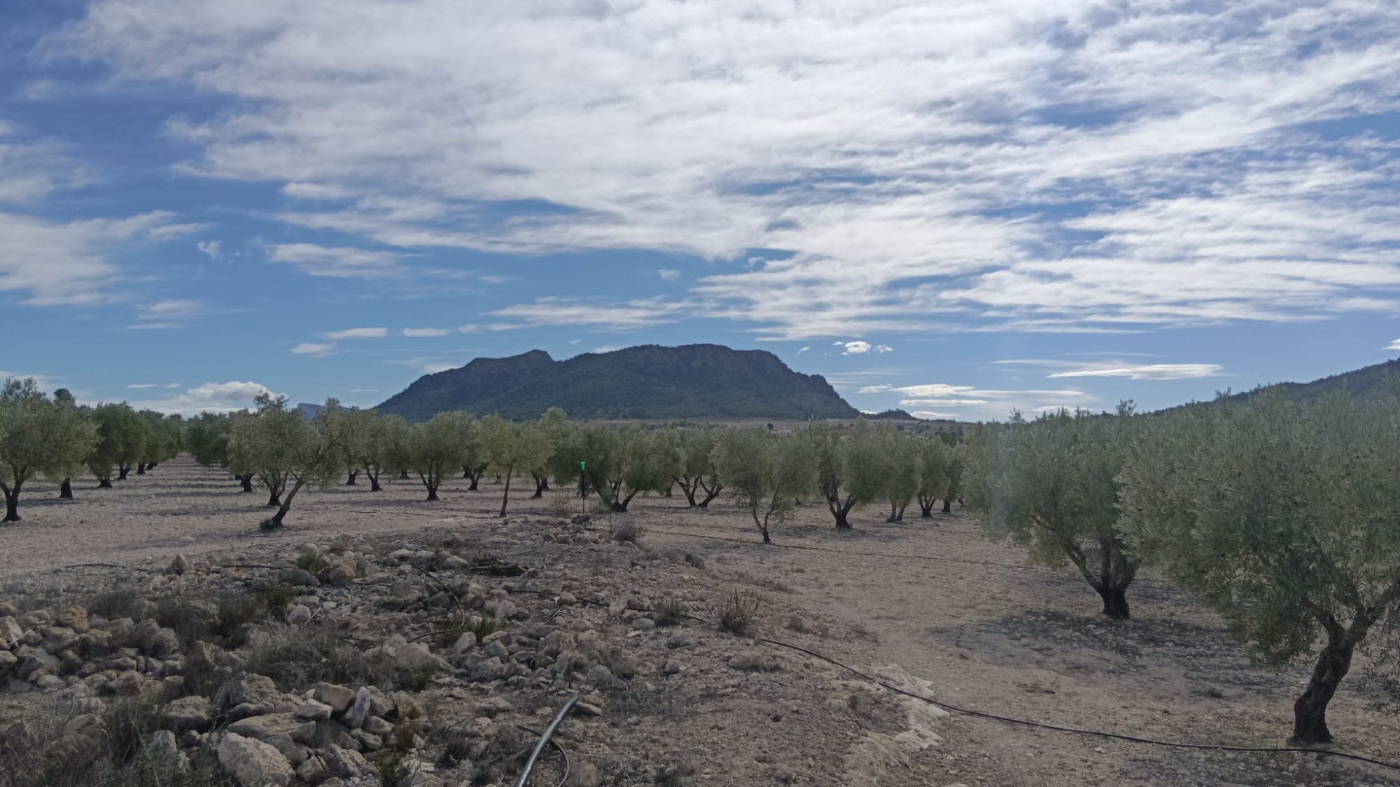 O 1j8361l8os32bf6nq7170k17je1q