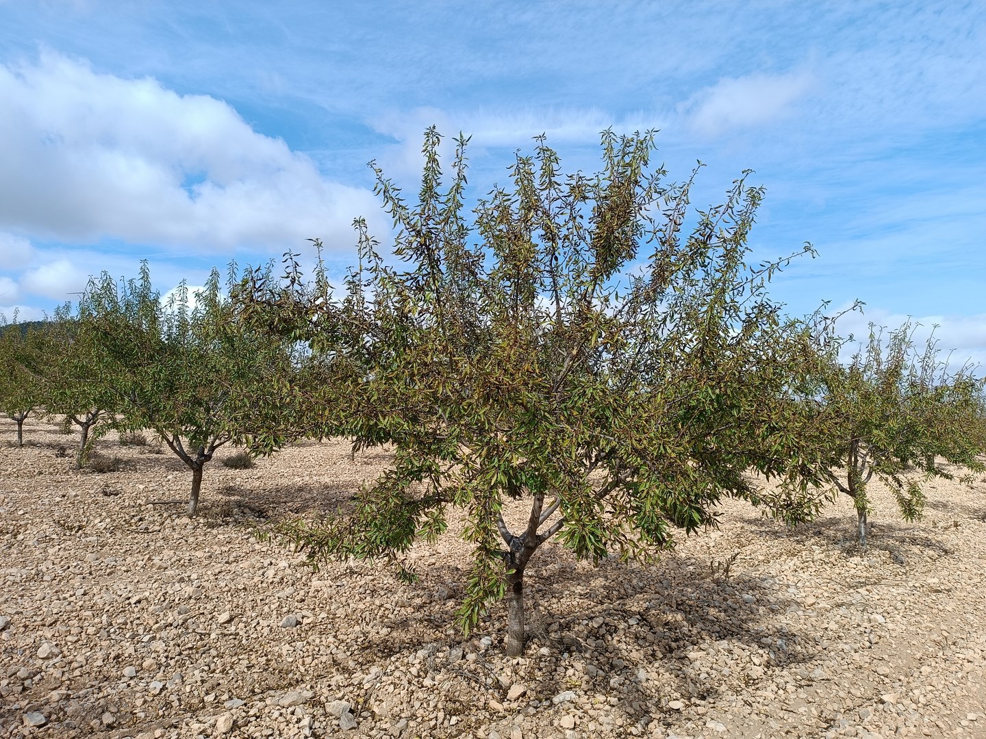 O 1j8dk473l1uf31bcp1fi1vt14gq1e