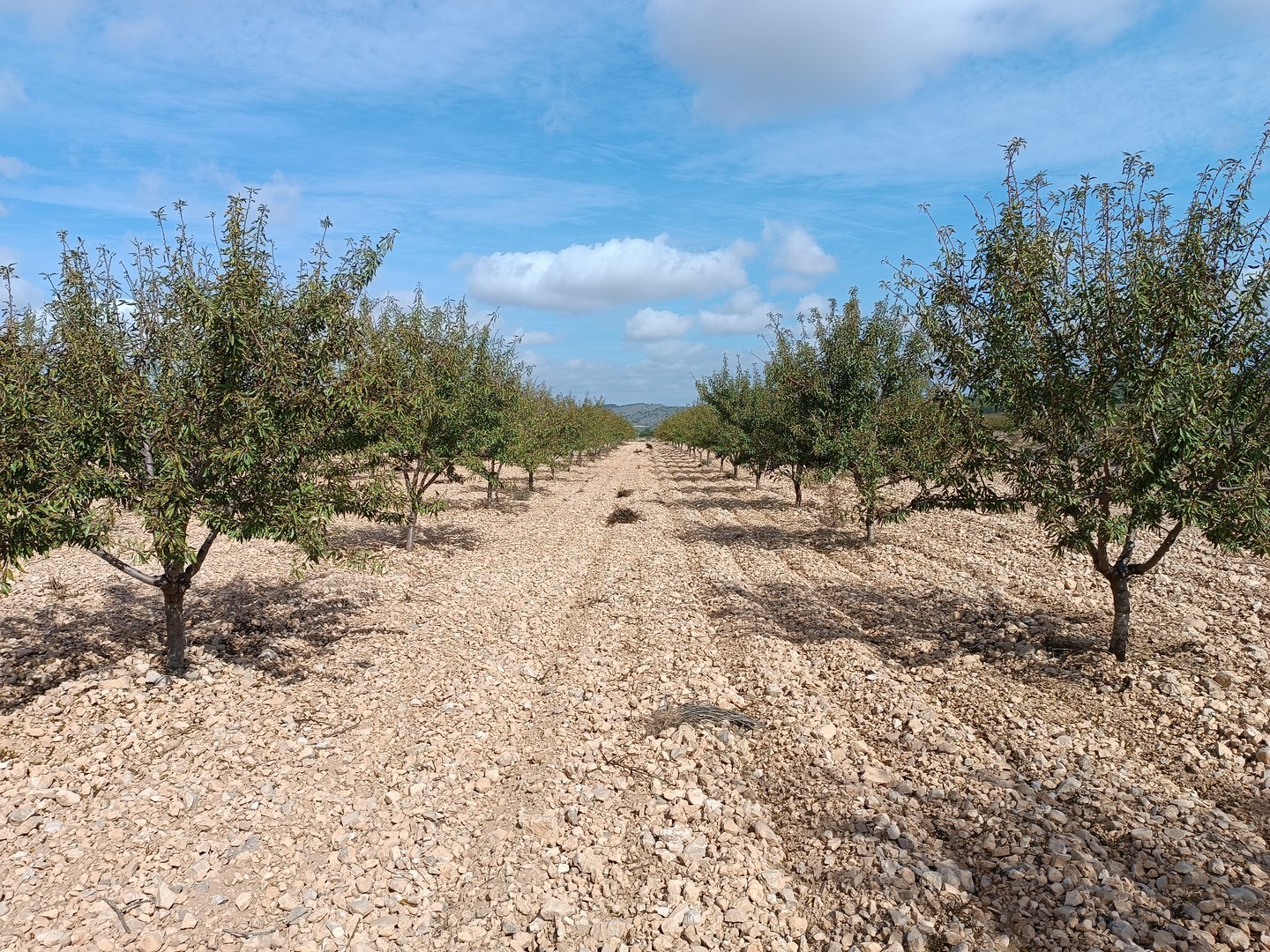 O 1j8dk473lek7dque0sm2o2hl1f