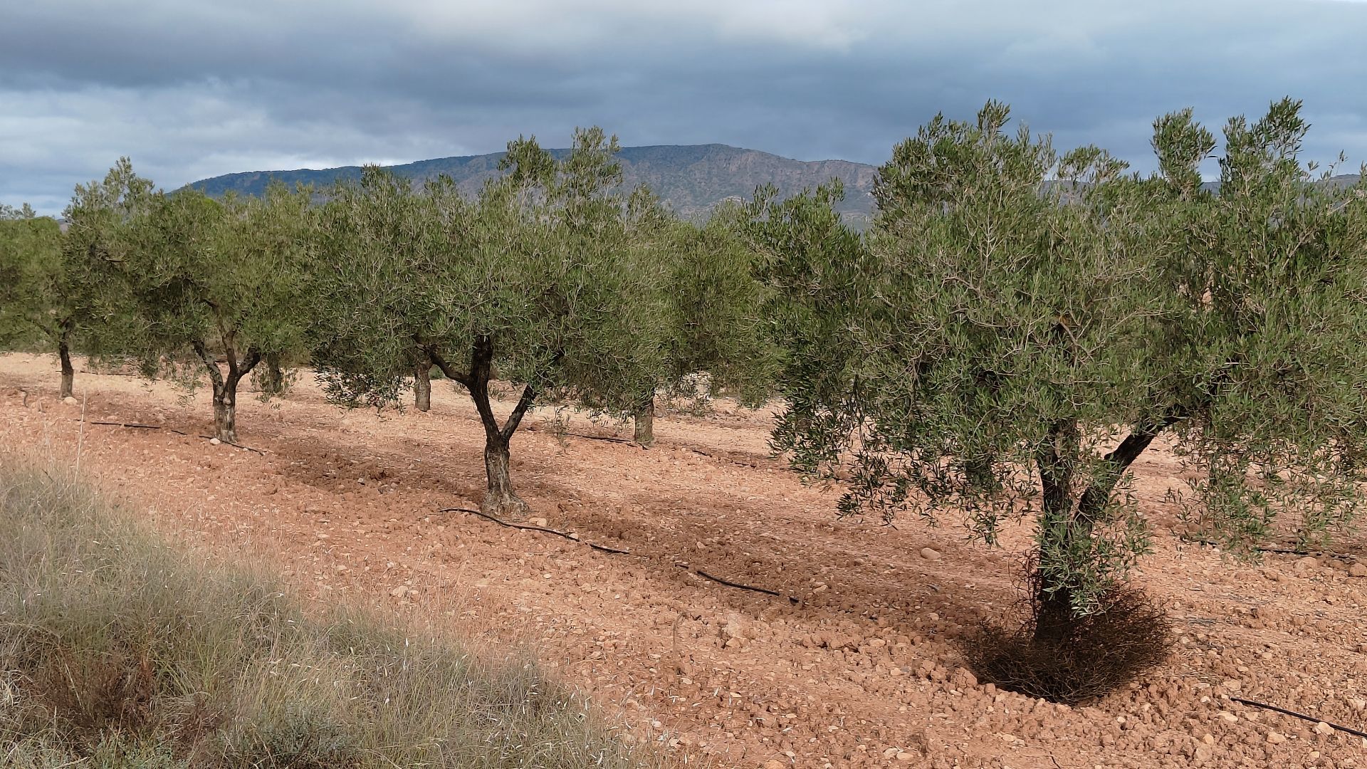 O 1j8ng2e1q1g8l9hc4giurn88d22