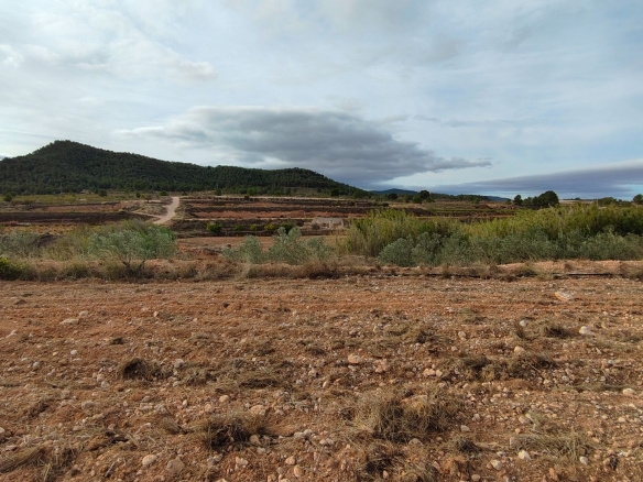 O 1j8ng2e1qpoh19colc83i37er1u