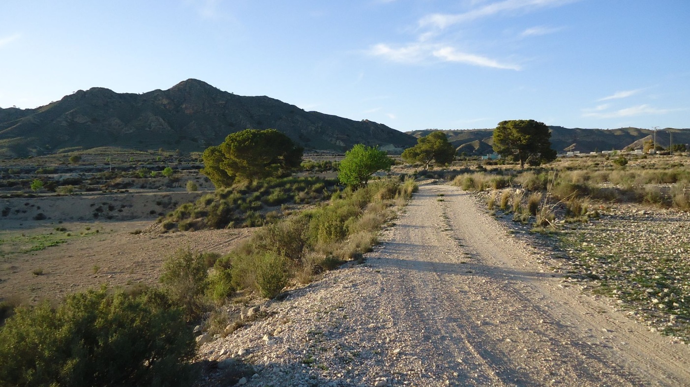 O 1j8o86m9f1umi12bi1di655dm7h1f