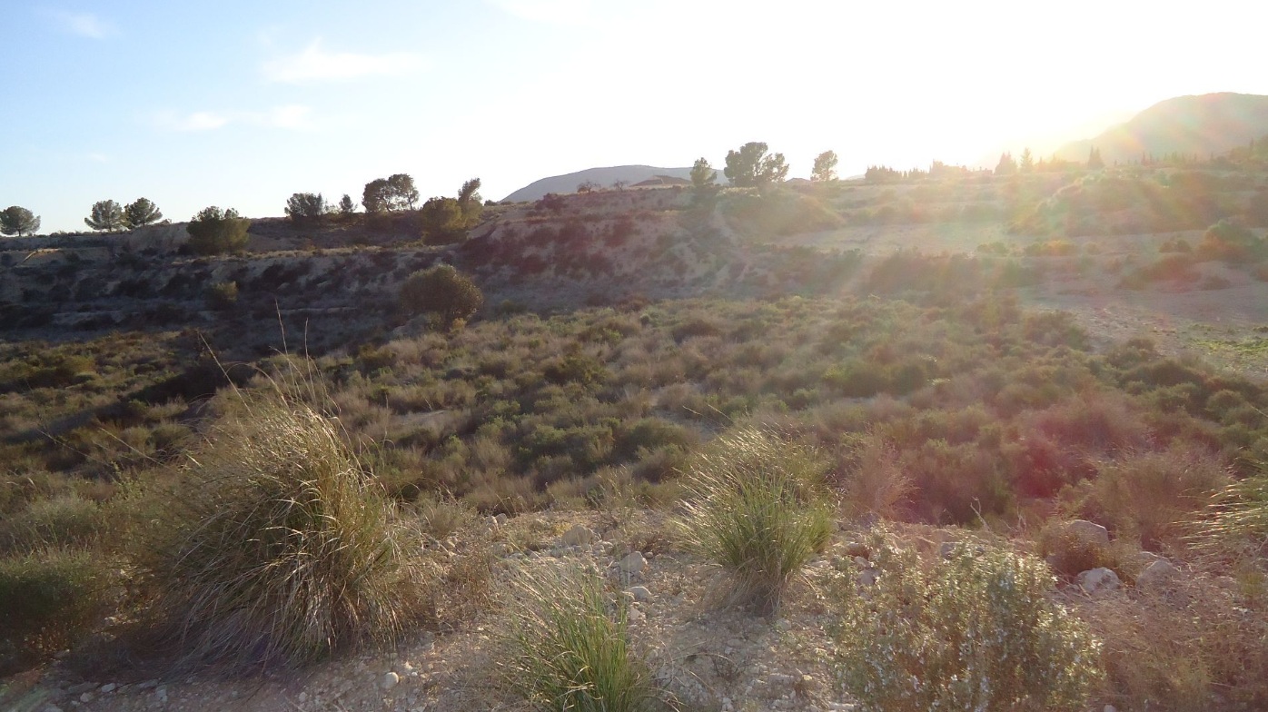 O 1j8o86m9fbvc18eo813o2r1gi61d