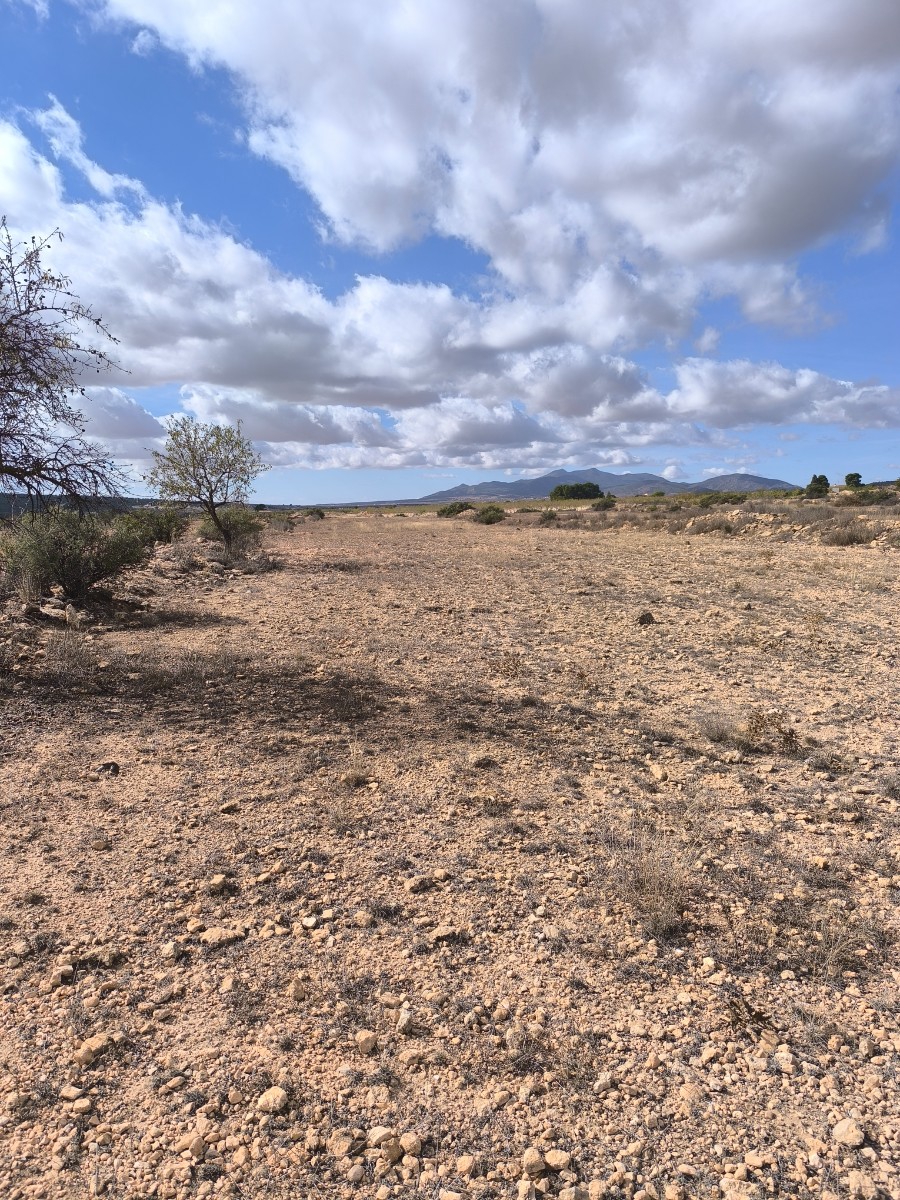 O 1j94q258e1kqjh341njvcs5a6m1j