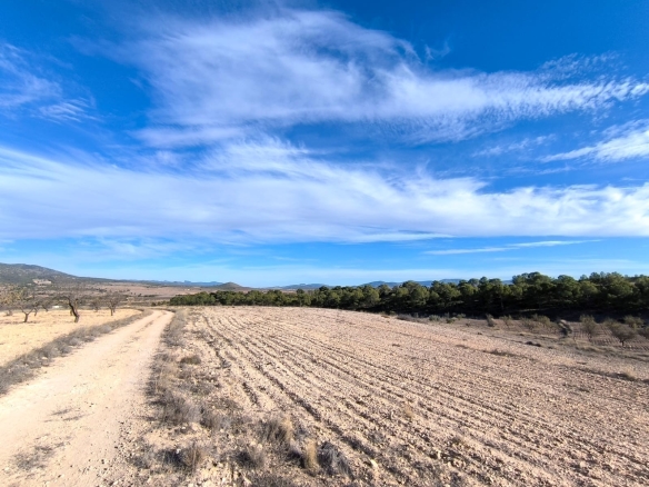 O 1j9piukk11rsra5rrmd1bqqitc1a