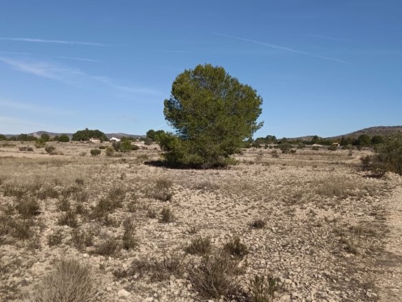 O 1j9ubcej41771mss11ms1o73p2i1f