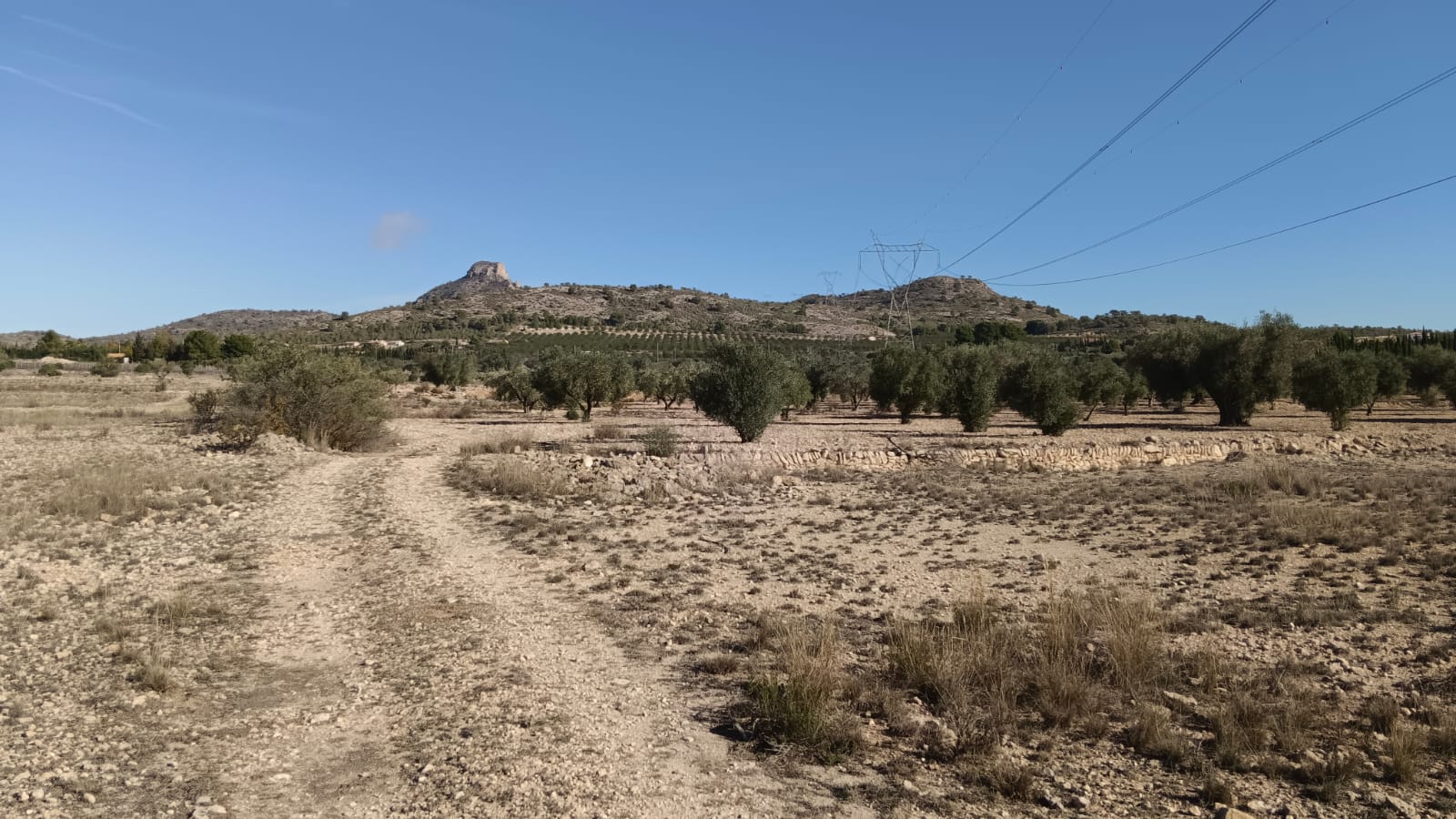 O 1j9ubcej41nft1f6o1bif1rcq1ven1g