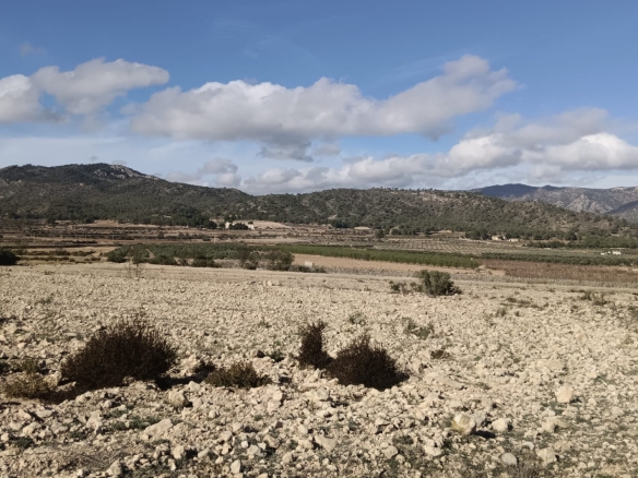 O 1j9ud0vvgvs56ib1rinl26tm31h