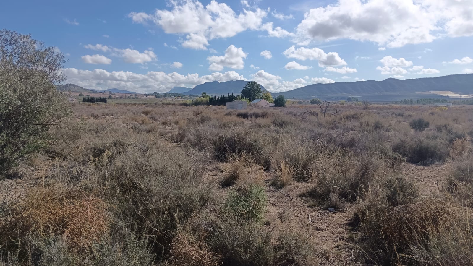 O 1ja8upk1n1v3c3nl279odi1gu41g