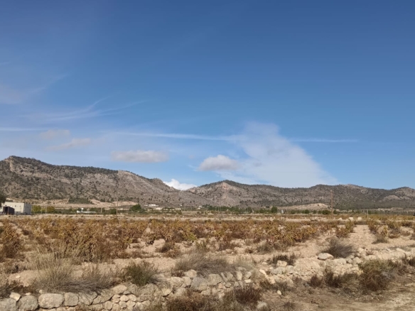 O 1ja8upk1n6fb10b81qj810cnt4n1k