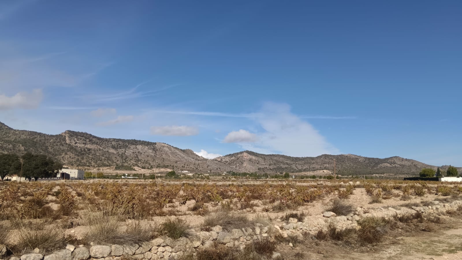 O 1ja8upk1n6fb10b81qj810cnt4n1k