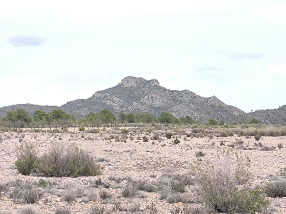 O 1jc1tur881ab7ku5ood15pllso1m