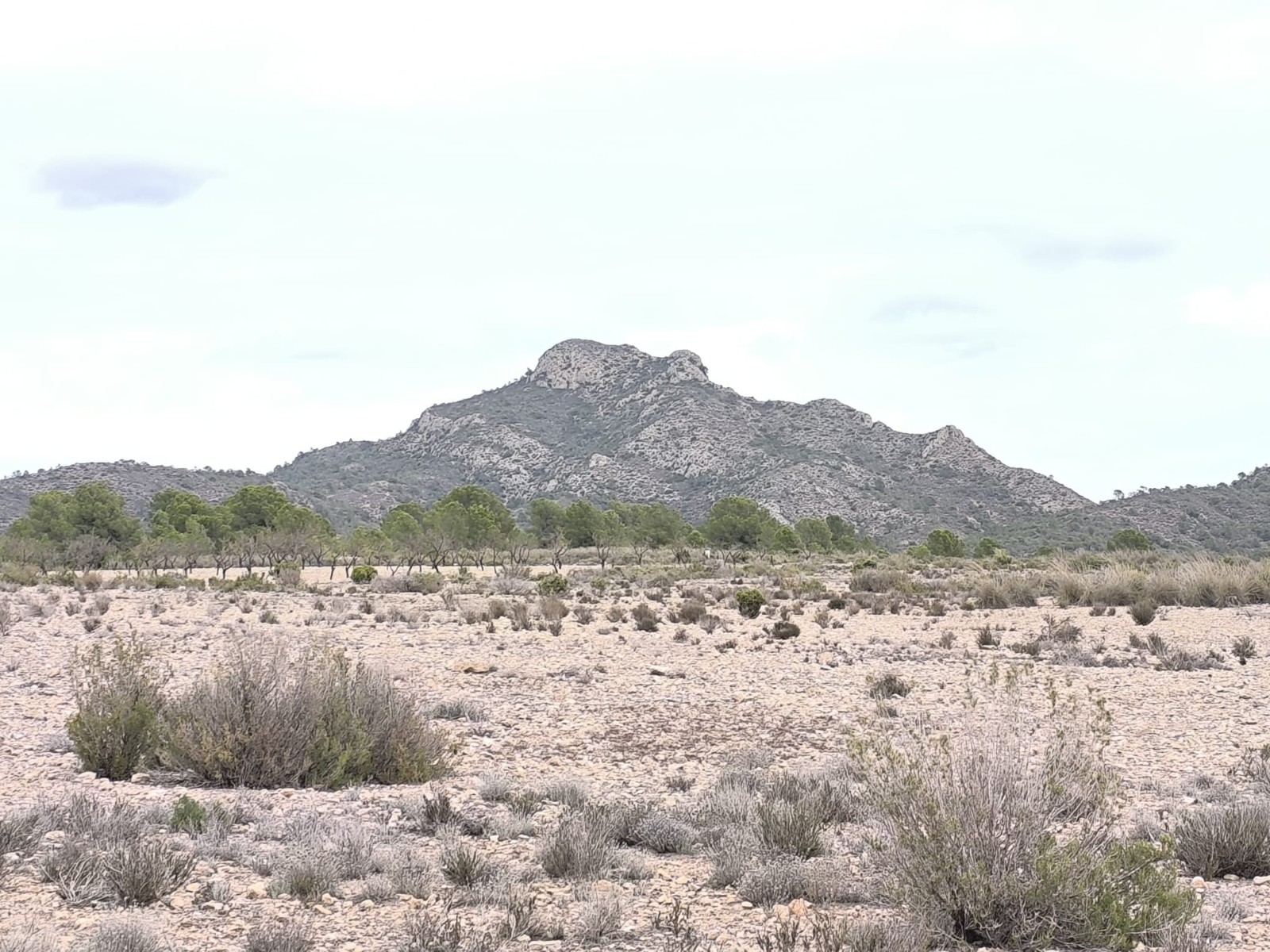 O 1jc1tur881ab7ku5ood15pllso1m