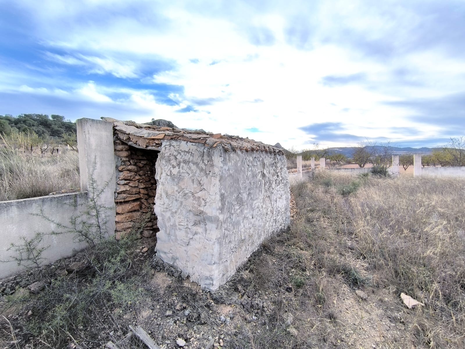 O 1jc50h3ureu4cmp8meqp0app1f