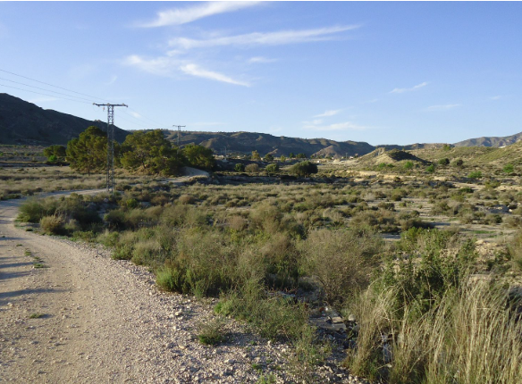 O 1jc6me2illl06uk8jj126s1ang1e