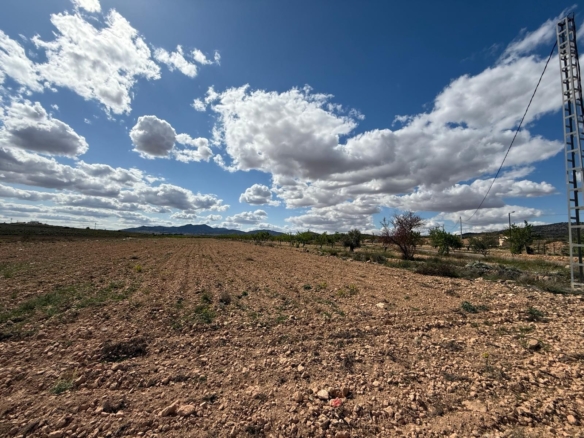 O 1jch0n79n19tg19qggvqrlg8mq1k