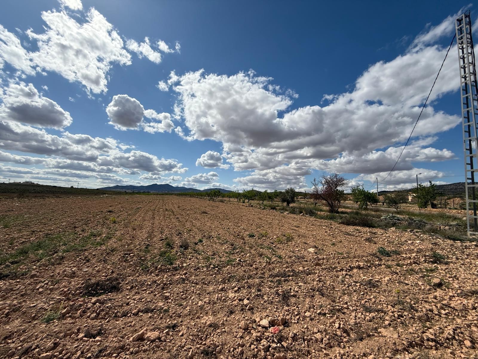 O 1jch0n79n19tg19qggvqrlg8mq1k