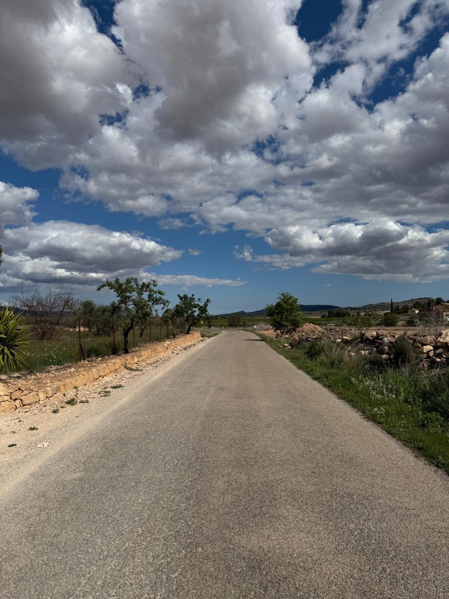 O 1jch0n79ntk235m1bn011lcejt1m