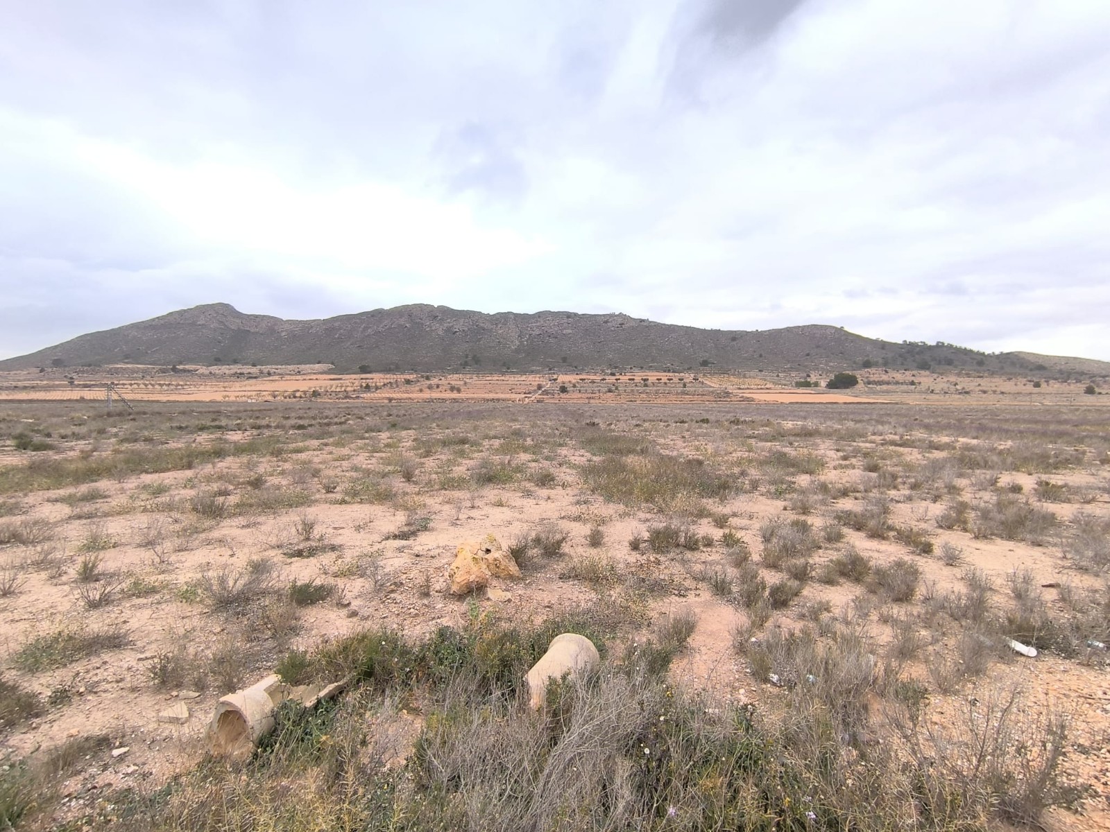 O 1jd3hkctq11nq9liipm8dinq41f