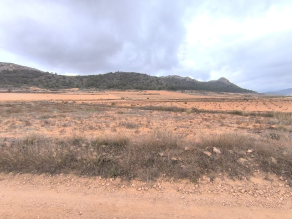 O 1jd3ni6qt824kl1bk010k2mci1e