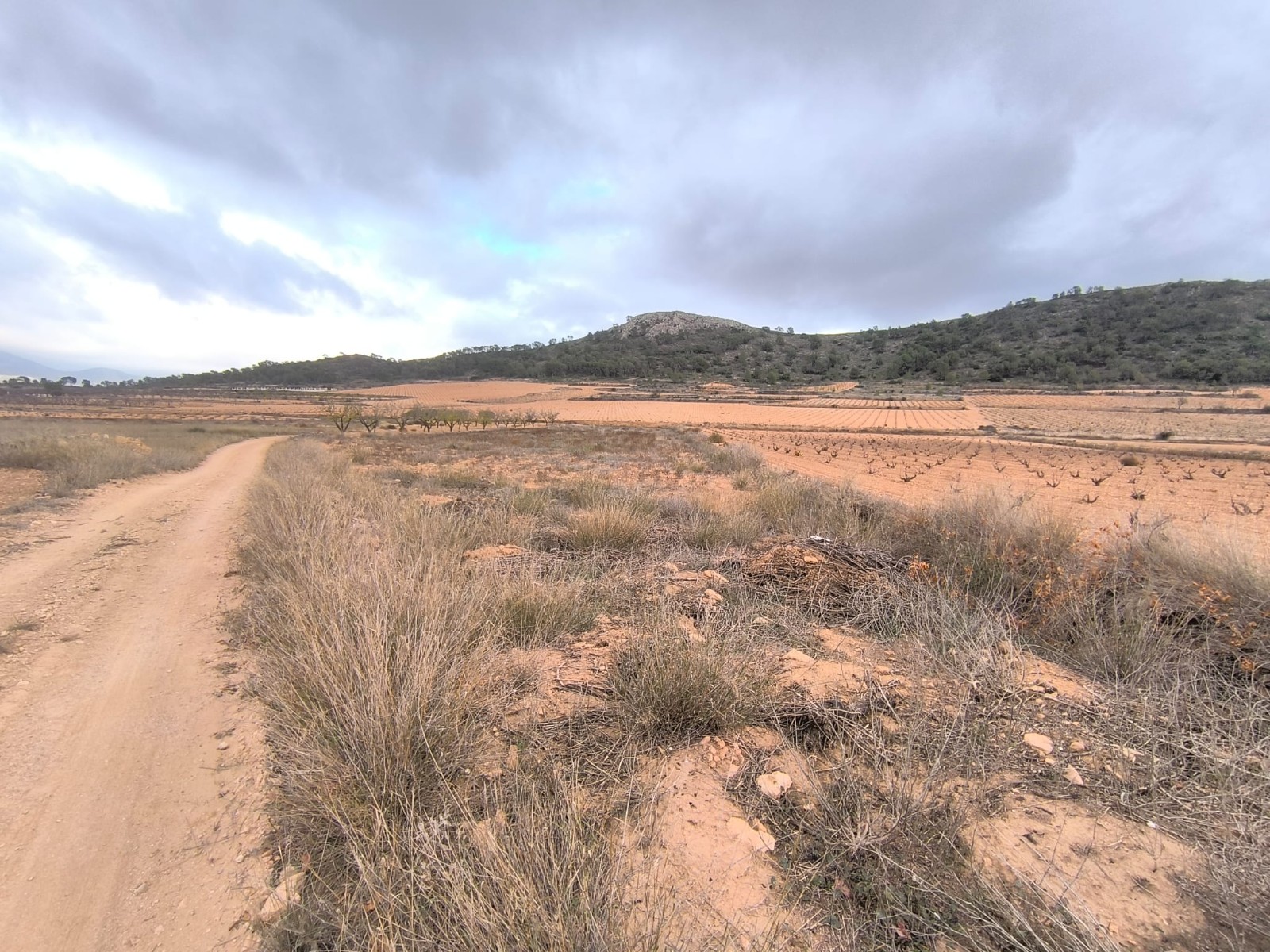 O 1jd3ni6qti7m2sdcoj18rcb3h1d