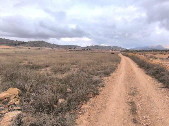 O 1jd3nqtp01eb616d31k3114p21uu51d