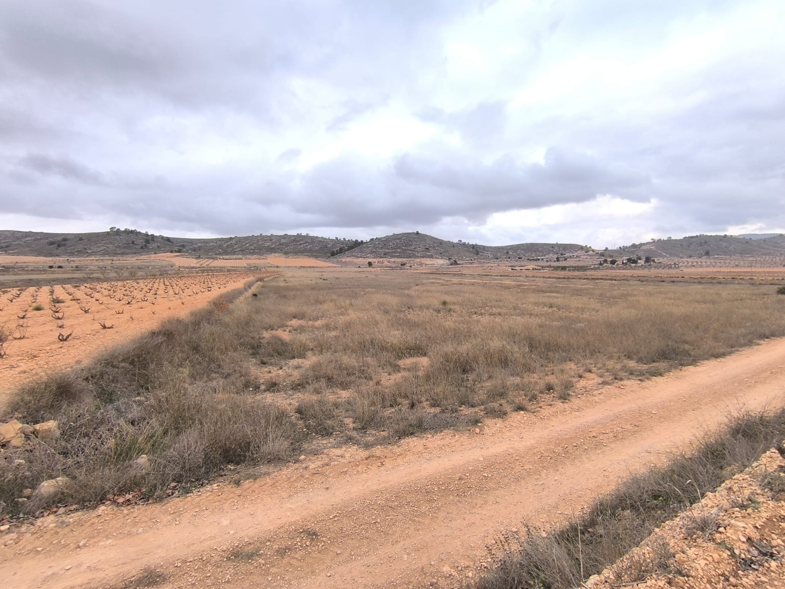 O 1jd3nqtp01j2n1mh37nq3fi16j71e