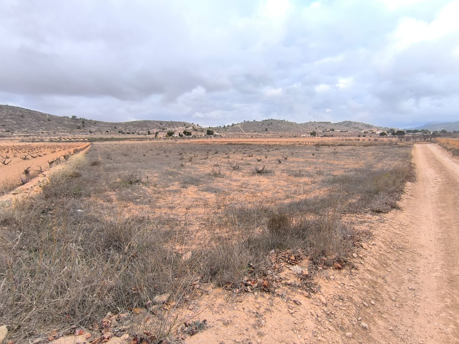 O 1jd3phs0qga31473nf7j1l1ad61e