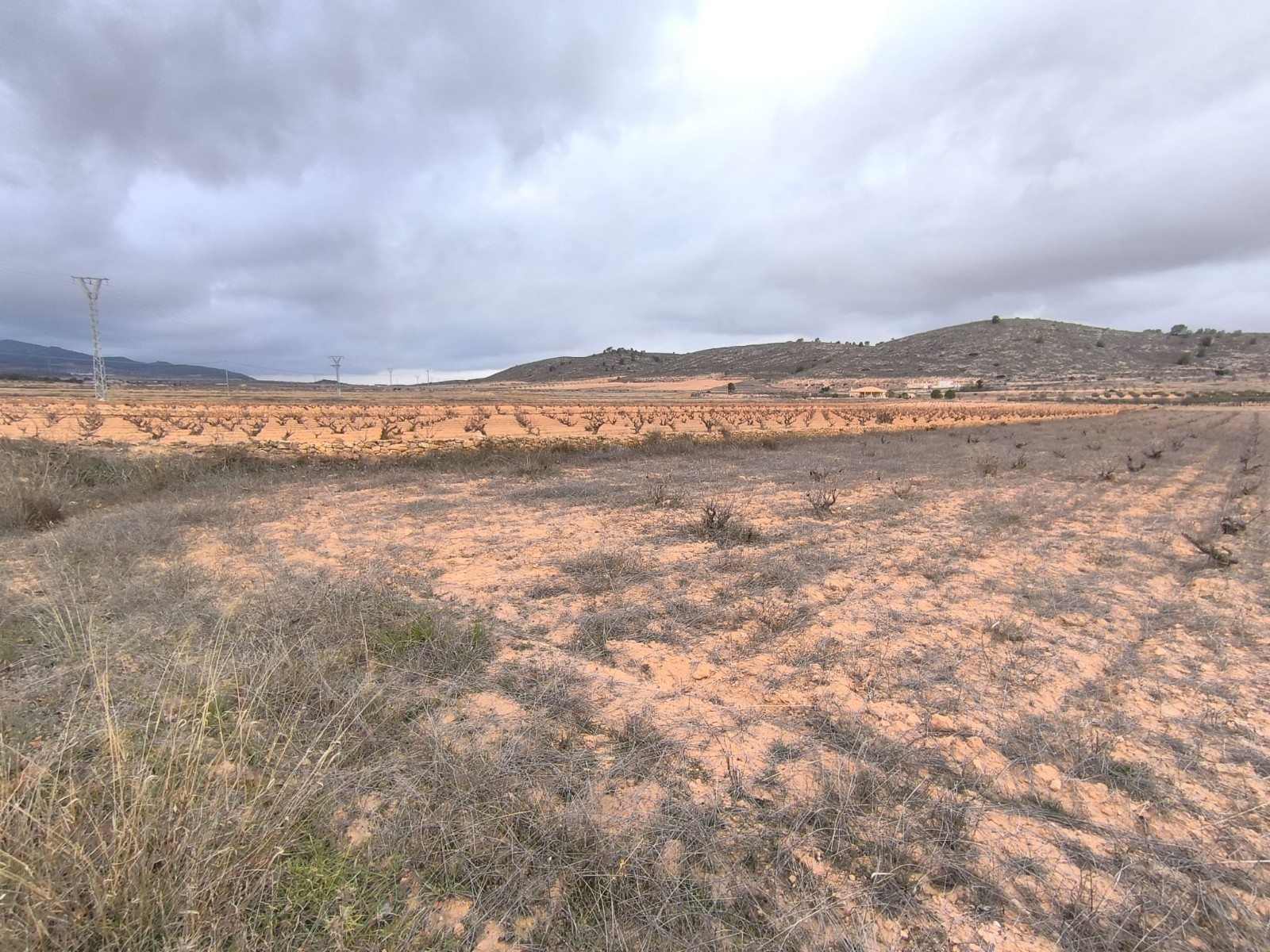 O 1jd3phs0qvnp1me1tc1v4ovkg1f