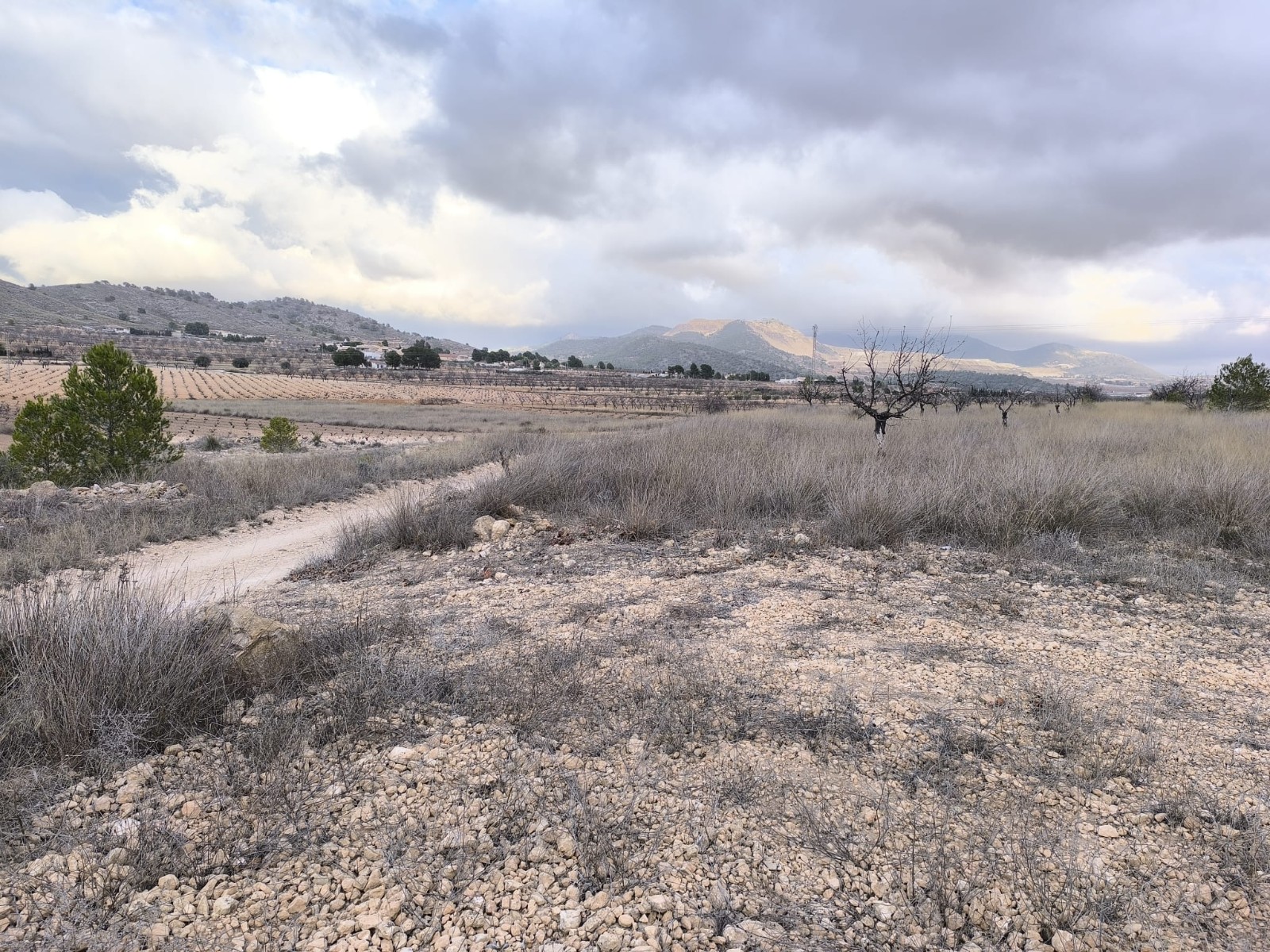 O 1jd3pqgle13ajvsmi9c1qq7a5c1h