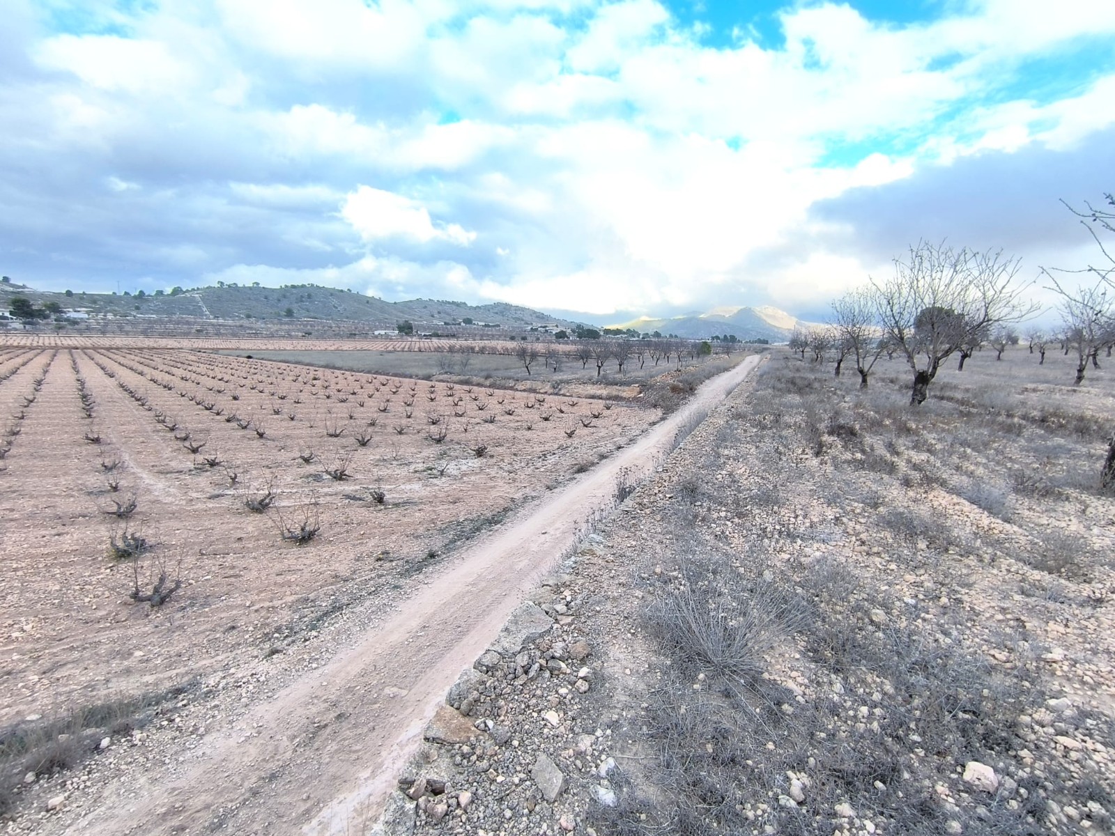 O 1jd3pqgle1feu1s6f14qd1fm81s21g