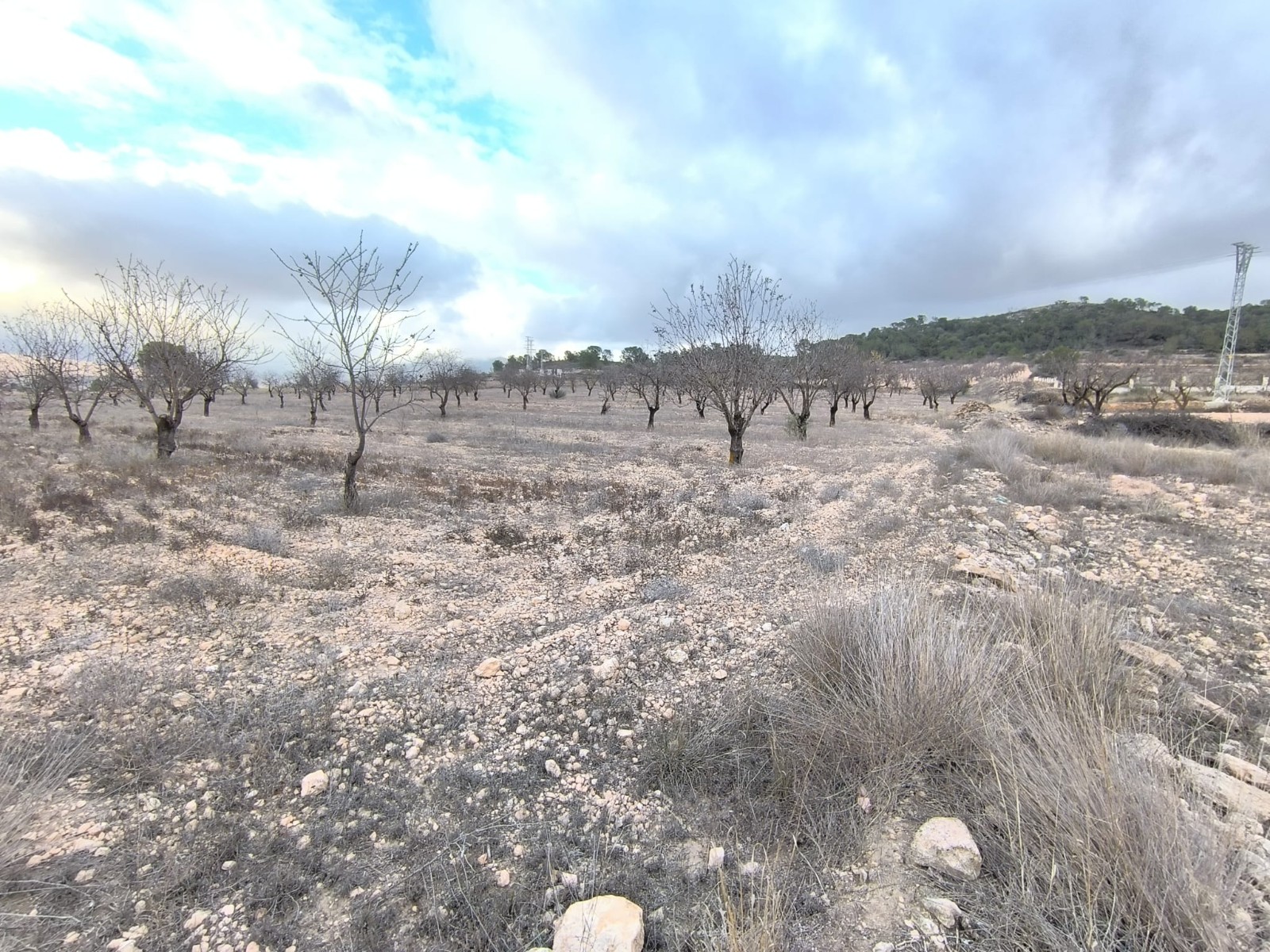 O 1jd3pqgle76i2tr11dm1qa31nsg1f