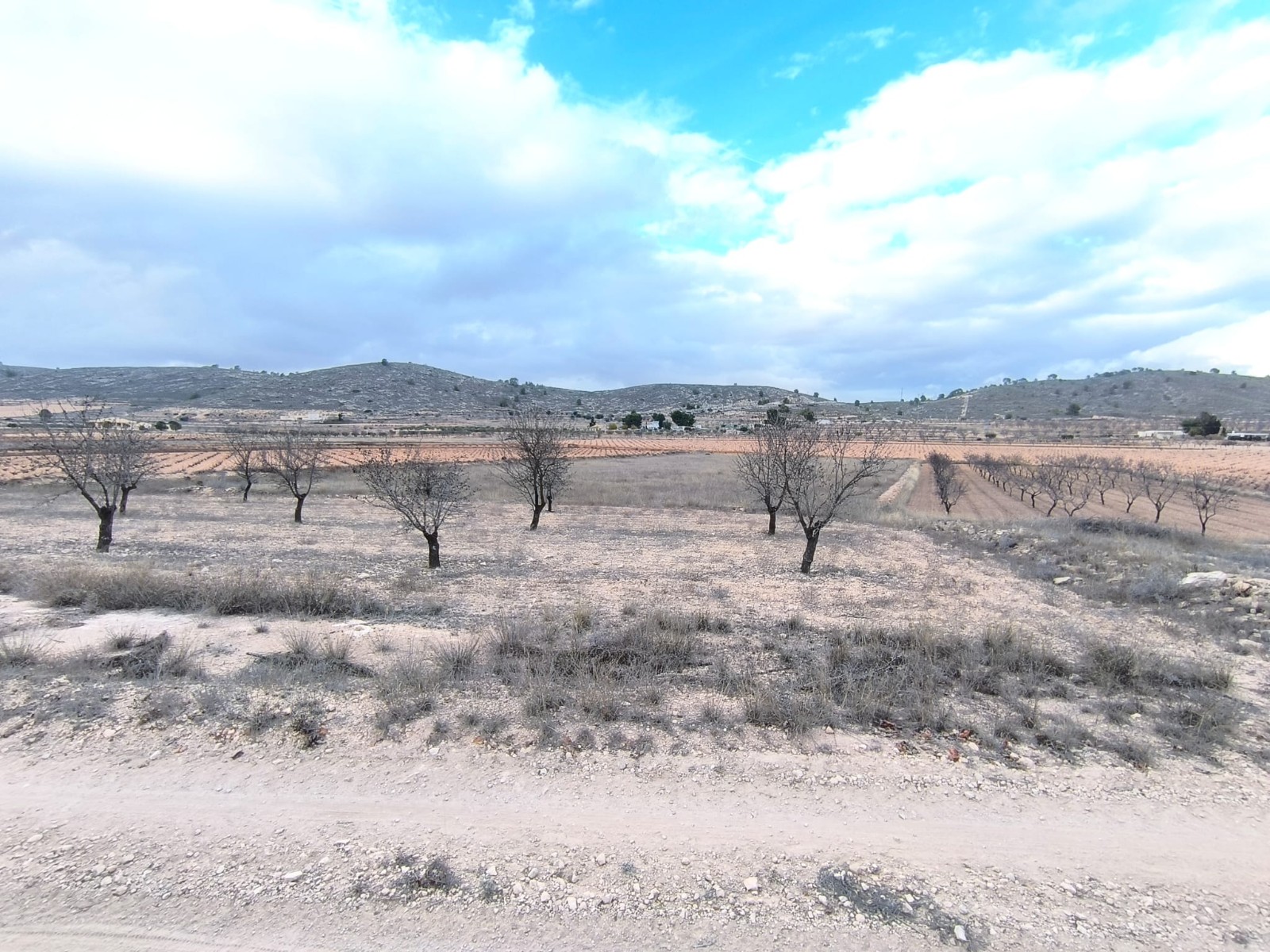 O 1jd3q830lgt61lqhj2i16ru11c31d