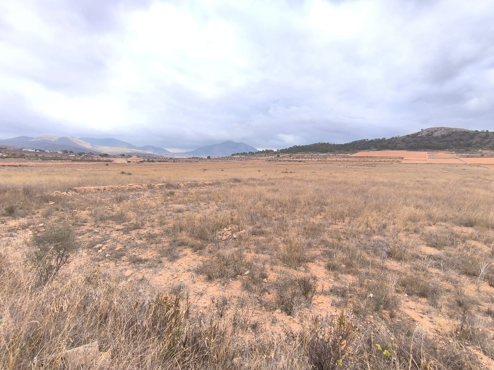 O 1jd3qj2pkjosufi11mq124md191g