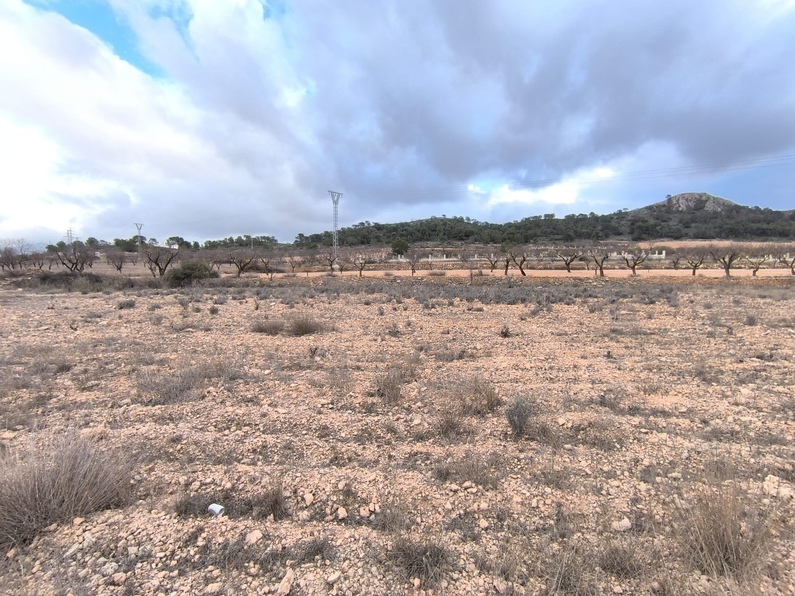 O 1jd3qq697edmu3skar10841acg1f