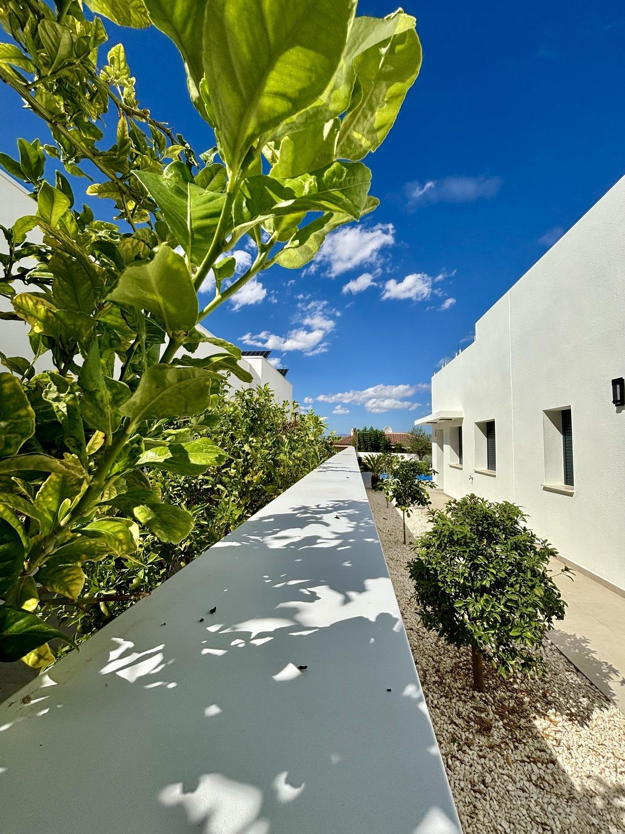 Property image 1wgtsuo9s9