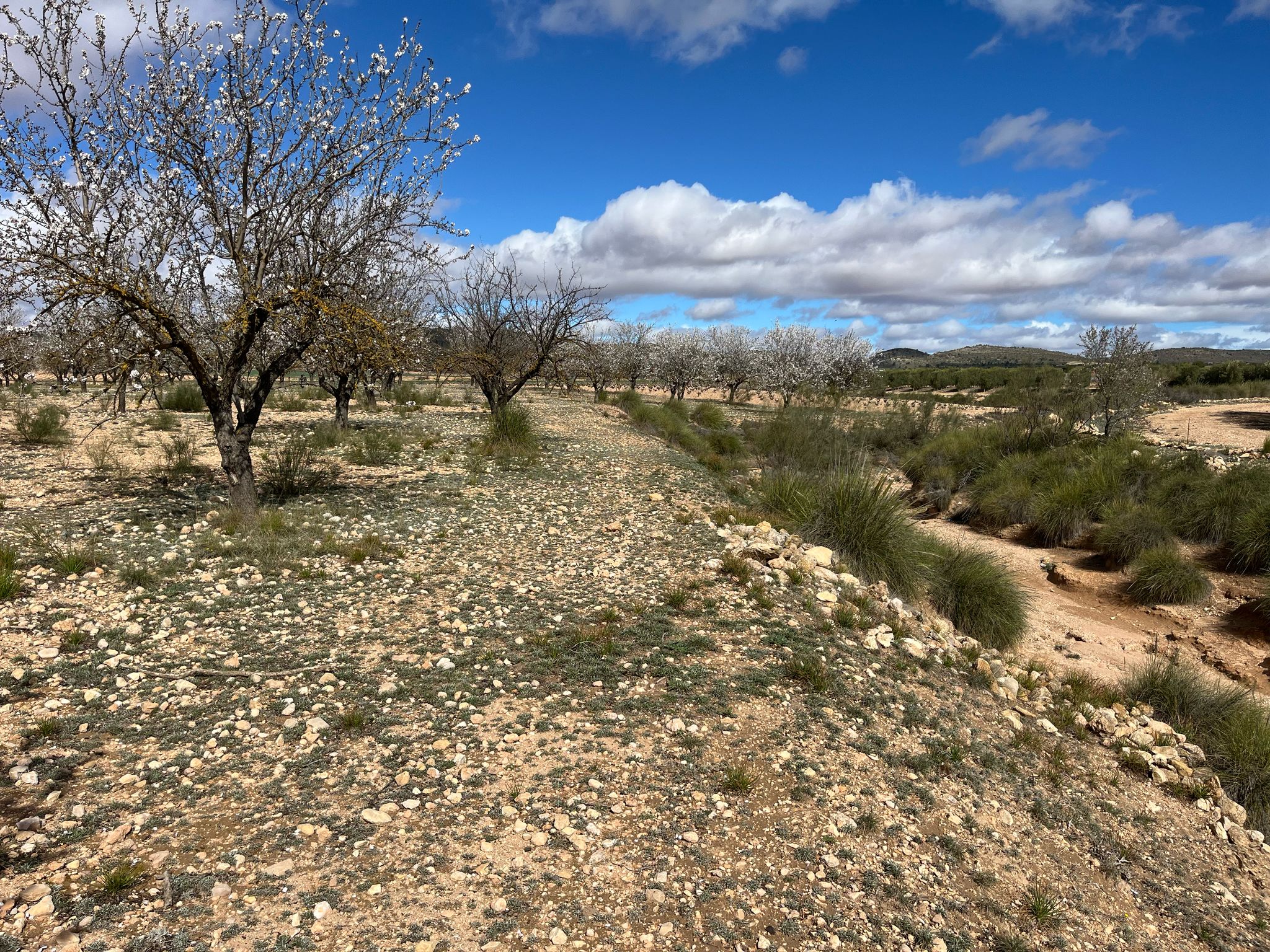 Qb63usapva 5280b229 c3d8 47b4 84fb 5e9e3ff07fd2