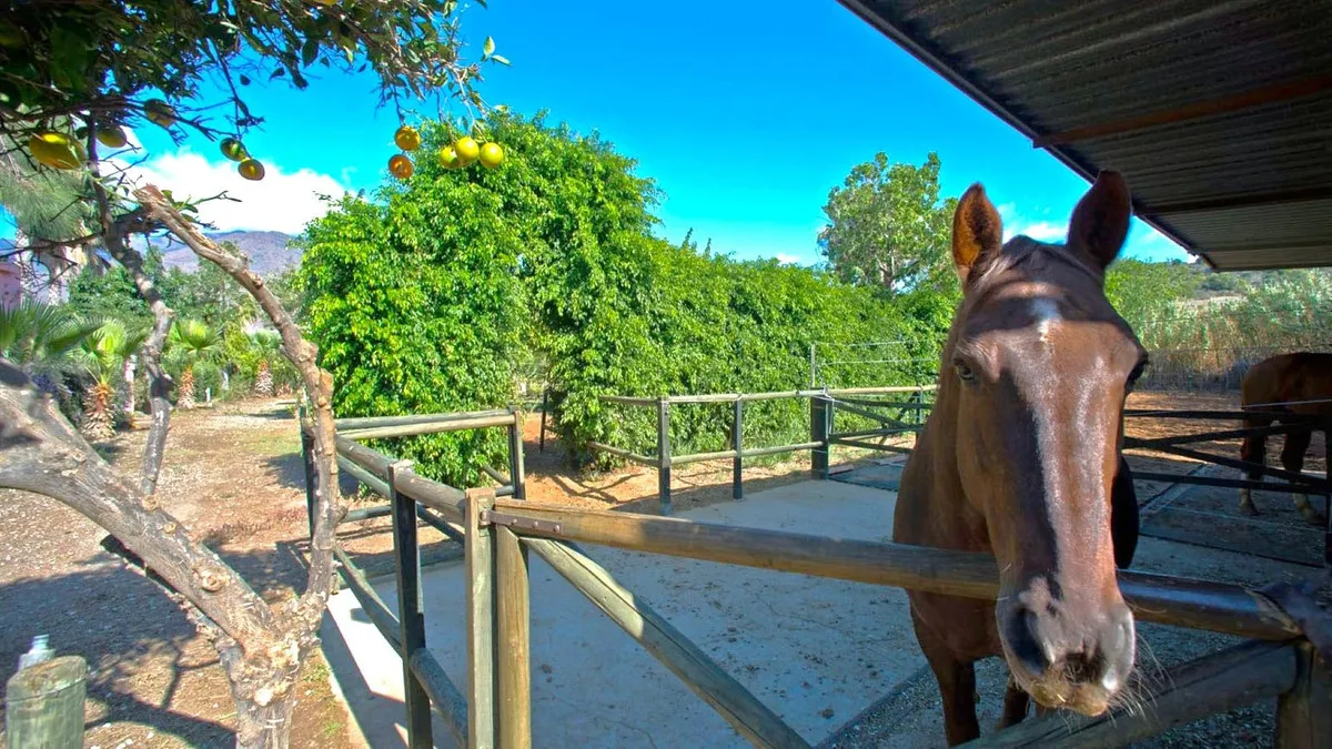 Finca / Landhuis te koop in Estepona, Malaga, Spanje