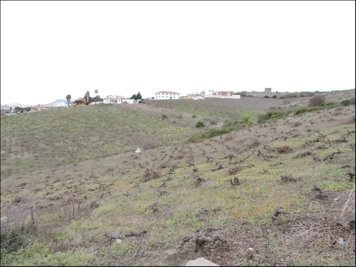 Finca / Landhuis te koop in Manilva, Malaga, Spanje