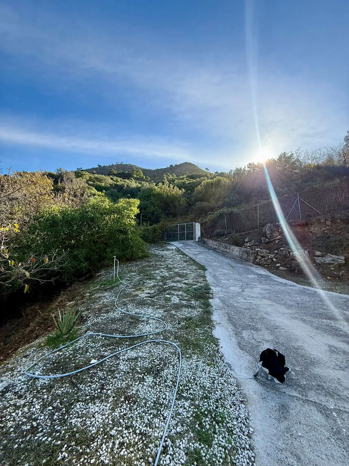 Finca / Landhuis te koop in Ojen, Malaga, Spanje